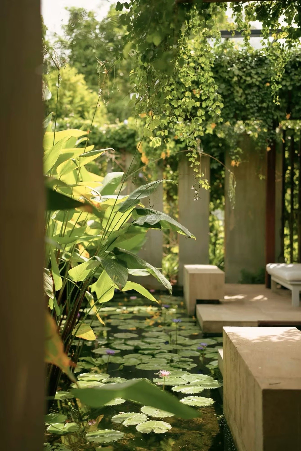 Asaya at Rosewood Phuket
