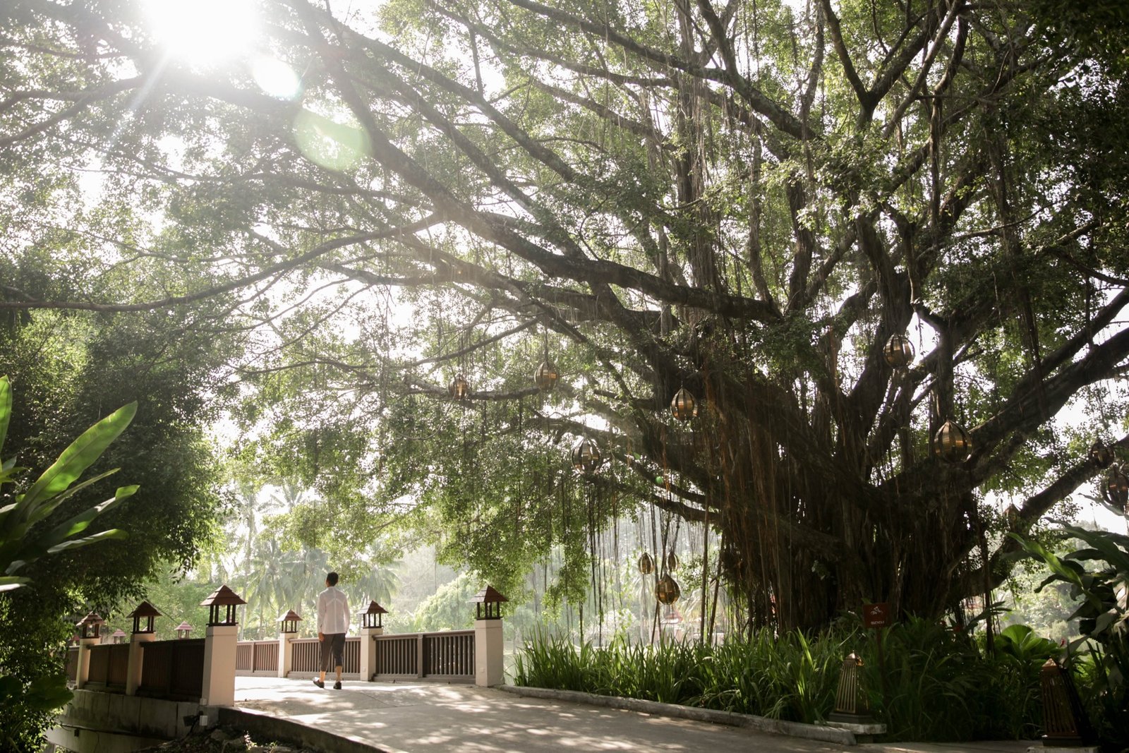 Veya Phuket gallery